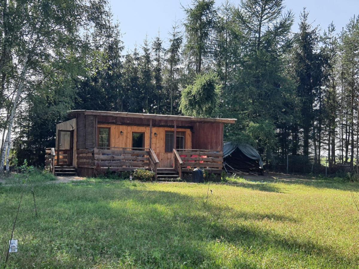 Apartamento Bukowa Ostoja Nakielno Exterior foto